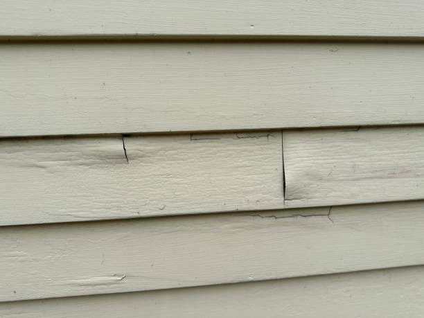 Storm Damage Siding Repair in Kechi, KS